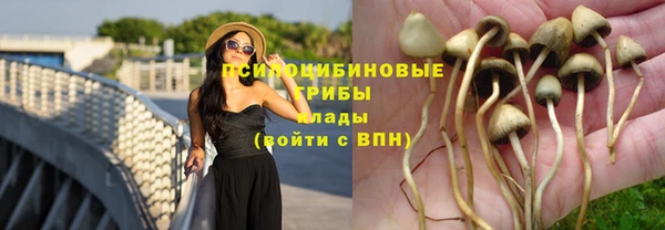 марки nbome Беломорск