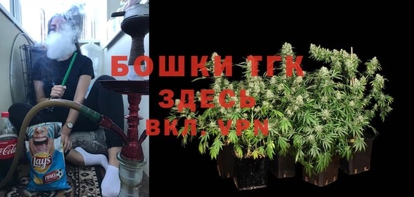 ешки Белокуриха