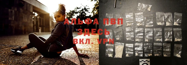 ешки Белокуриха