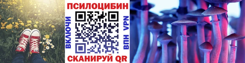 площадка формула  Сланцы  Галлюциногенные грибы GOLDEN TEACHER 